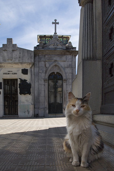 The Guard of the Dead. La Recoleta Cemetery, Buenos Aires, Argentina - Buenos-Aires-La-Recoleta-Cemetery-Argentina - Mike Reyfman Photography