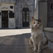 The Guard of the Dead. La Recoleta Cemetery, Buenos Aires, Argentina - Buenos-Aires-La-Recoleta-Cemetery-Argentina - Mike Reyfman Photography