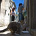 Cats Waiting for the Treats. La Recoleta Cemetery, Buenos Aires, Argentina - Buenos-Aires-La-Recoleta-Cemetery-Argentina - Mike Reyfman Photography
