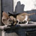 Cats Looking Down from the Roof of the Crypt. La Recoleta Cemetery, Buenos Aires, Argentina - Buenos-Aires-La-Recoleta-Cemetery-Argentina - Mike Reyfman Photography