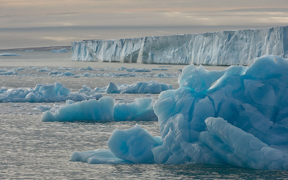 Icebergs with Austfonna Glacier on the background. Austfonna Ice Cap, Nordaustlandet Island, Svalbard (Spitsbergen) Archipelago, Norway.