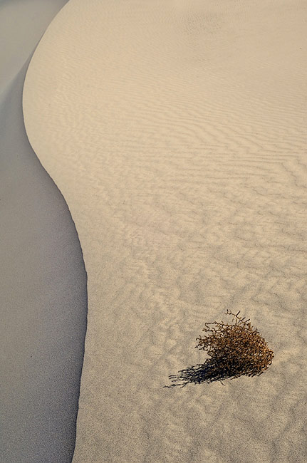 S. Stovepipe Wells. Mesquite Flats Sand Dunes, Stovepipe Wells, Death Valley National Park, California, USA. - Death-Valley-National-Park-California-USA - Mike Reyfman Photography