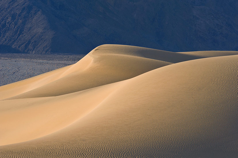 Sensuous dune forms. Mesquite Flats Sand Dunes, Stovepipe Wells, Death Valley National Park, California, USA. - Death-Valley-National-Park-California-USA - Mike Reyfman Photography