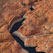 Driftwood Canyon. Glen Canyon NRA, Lake Powell, Utah/Arizona, US. Aerial. - Lake-Powell-Aerial-Abstracts-Arizona-USA - Mike Reyfman Photography