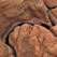 Anasazi Canyon Narrows. Glen Canyon NRA, Lake Powell, Utah/Arizona, US. Aerial. - Lake-Powell-Aerial-Abstracts-Arizona-USA - Mike Reyfman Photography