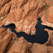 Anasazi Canyon Abstracts. Anasazi Canyon, Lake Powell, Glen Canyon NRA, Utah/Arizona, US. Aerial. - Lake-Powell-Aerial-Abstracts-Arizona-USA - Mike Reyfman Photography