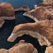 Forbidding Canyon near Rainbow Bridge. Glen Canyon NRA, Lake Powell, Utah/Arizona, US. Aerial. - Lake-Powell-Aerial-Abstracts-Arizona-USA - Mike Reyfman Photography
