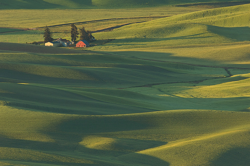 Farmhouse and a red barn lost on the rolling green hills at first morning light. Steptoe Butte, Palouse, Washington, USA - Palouse-Eastern-Washington-American-Tuscany - Mike Reyfman Photography