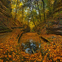 Starved Rock State Park - Illinois, USA - Fall Colors