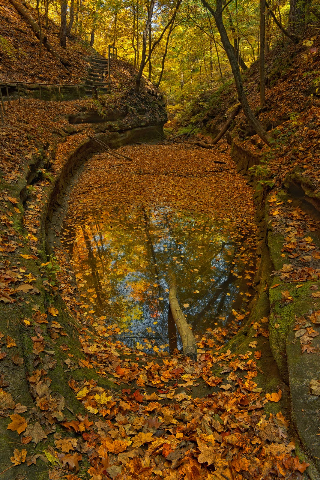 Fall Colors. French Canyon, Starved Rock State Park, Illinois Mike