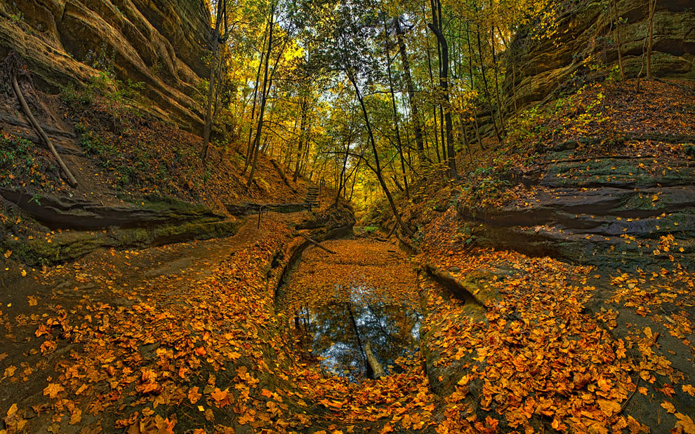 Fall Colors. French Canyon, Starved Rock State Park, Illinois - Starved-Rock-State-Park-Illinois-USA - Mike Reyfman Photography