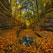Fall Colors. French Canyon, Starved Rock State Park, Illinois - Starved-Rock-State-Park-Illinois-USA - Mike Reyfman Photography