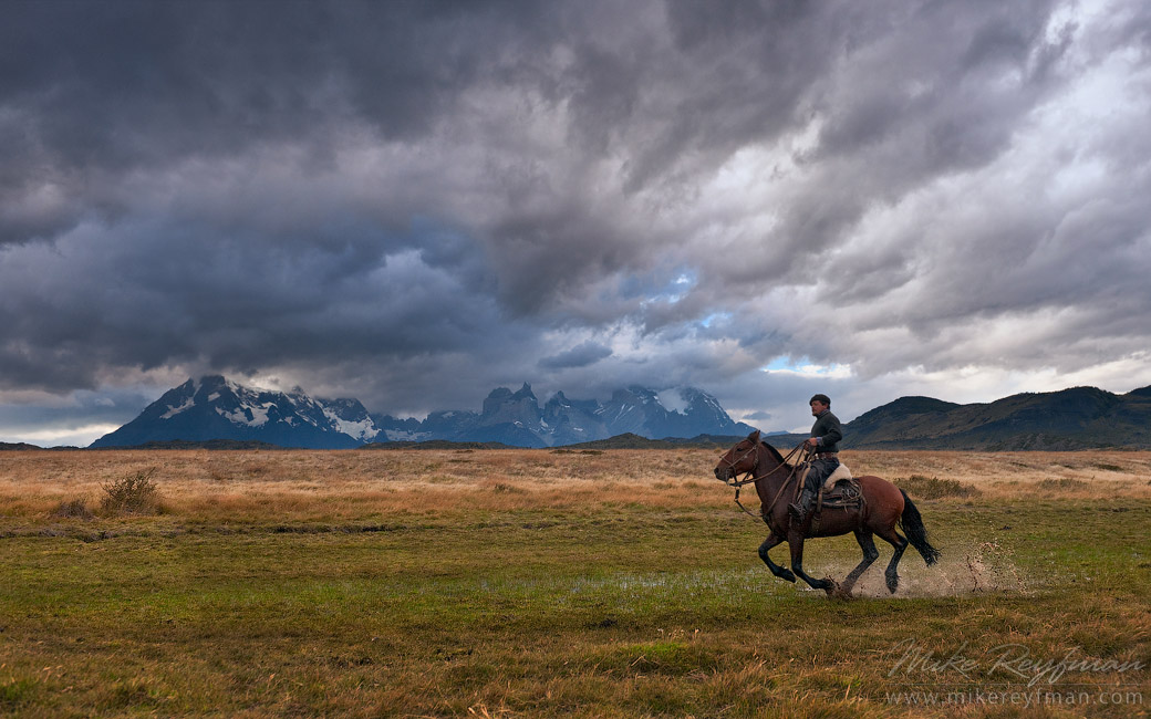 Gaucho galloping on a horse through Patagonian steppes after the rain. Mountains of Torres del Paine National Park are on the backdrop. Ultima Esperanza Province, Magallanes and Antartica Chilena Region XII, Patagonia, Chile.