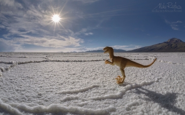 AA1-AIR2239 Prehistoric. Salar de Uyuni, Altiplano. Daniel Campos Province, Potosí, Bolivia