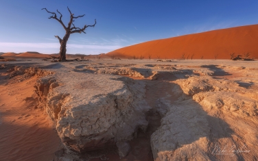 Soaring Orange Dunes, Deep Blue Sky and Ancient Skeletons of Camel Thorn Trees. DeadVlei & SossusVlei, Namib-Naukluft National Park, Namibia. - Landscape, Nature and Cityscape Photography - Mike Reyfman Photography - Fine Art Prints, Stock Images, Nature Abstracts
