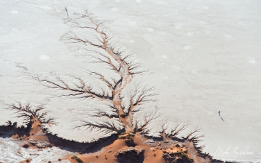 061-SV_10P8530 Tree-shaped Erosion Patterns on the Floor of Deadvlei. Sossusvlei, Namib-Naukluft National Park, Namibia. Aerial.