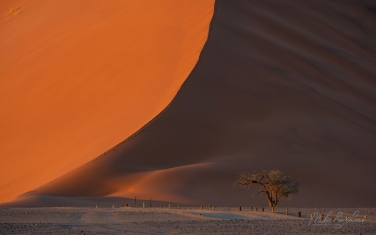 092-SV_10P7739 Dune 45. Famous Orange Sand Dune in the Namib Desert. Sossusvlei, Namib-Naukluft National Park, Namibia.