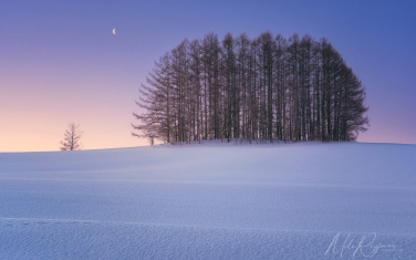 Snow-covered hills of Biei - the land of minimalist beauty, Eastern Hokkaido and Mt. Fuji Five Lakes area - Landscape, Nature and Cityscape Photography - Mike Reyfman Photography - Fine Art Prints, Stock Images, Nature Abstracts
