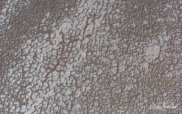 SCW_061_10N4563 Dried cracked mud patterns on a desert floor. Namib Skeleton Coast National Park, Namibia