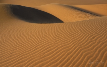 SCW_076_10P9231 Sand Dunes. Namib Skeleton Coast National Park, Namibia