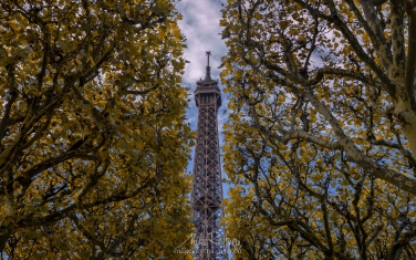 FR1-MR50A1712 The Eiffel Tower. Champ de Mars, Paris, France