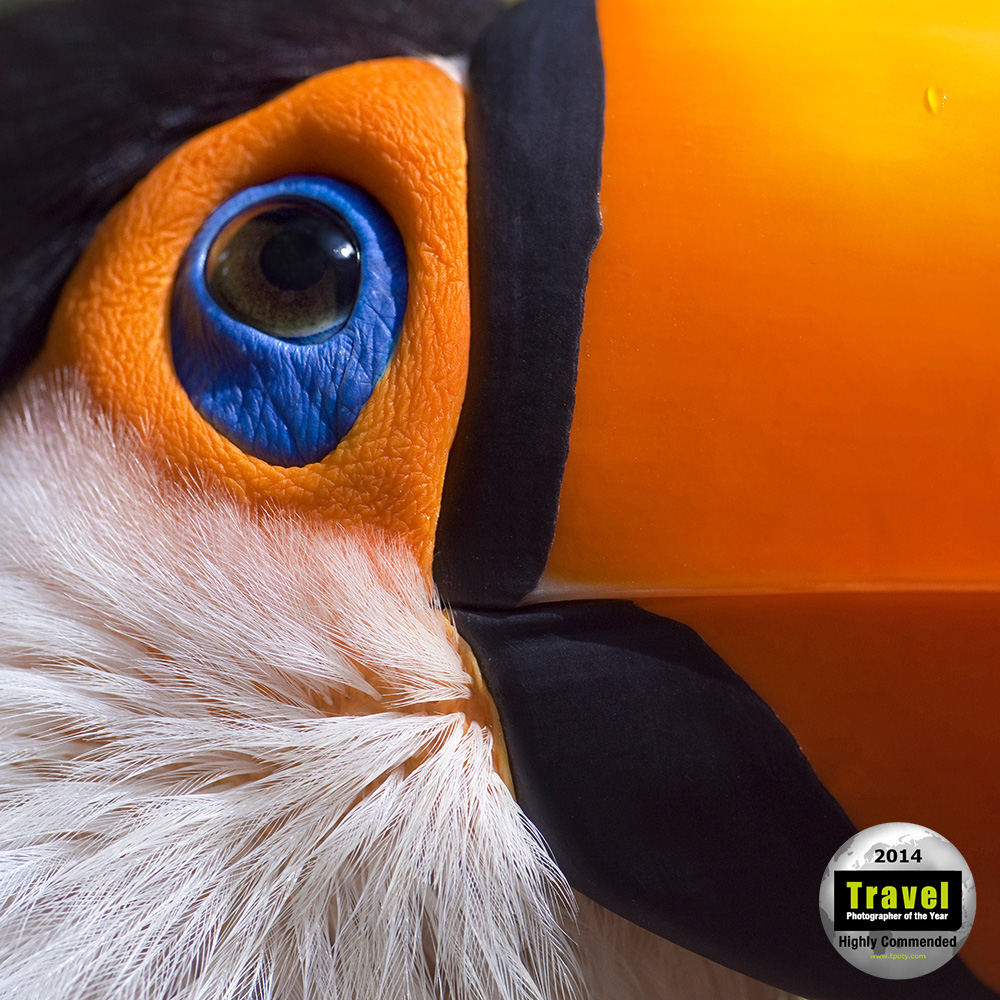 Mike-Reyfman-Wild-Vibrant-Toco-Toucan-Highly-Commended