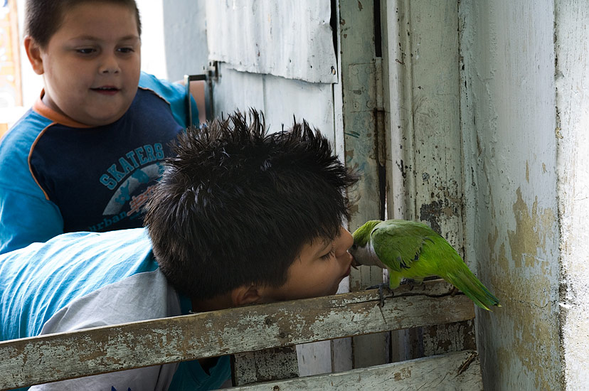 The Parrot. Boca Juniors Neighborhood, La Boca, Buenos Aires, Argentina. - Buenos-Aires-People-City-Places-Argentina - Mike Reyfman Photography