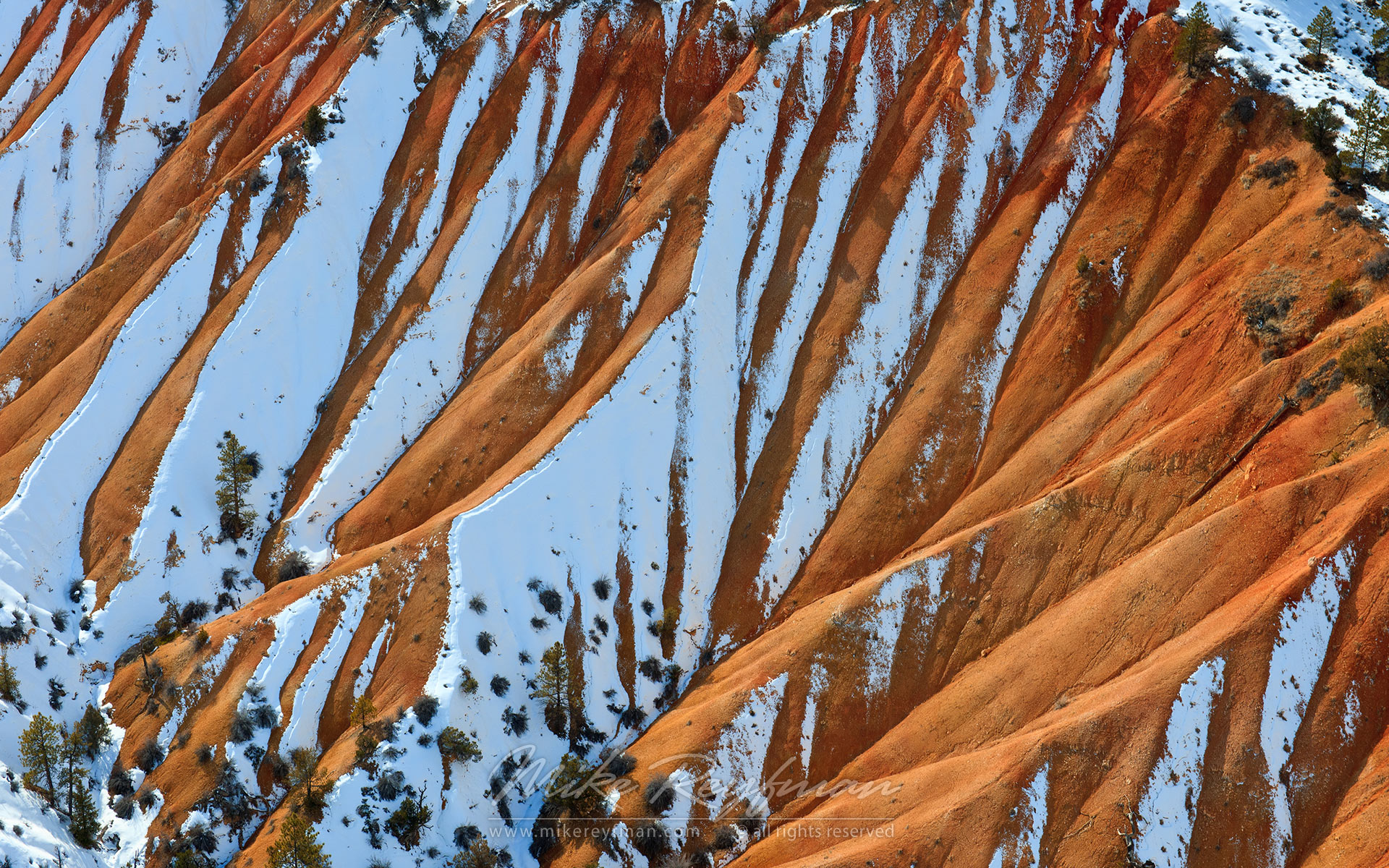 Bryce Graphics. Bryce Canyon National Park, Utah, USA. - Bryce-Canyon-National-Park-Utah-USA - Mike Reyfman Photography