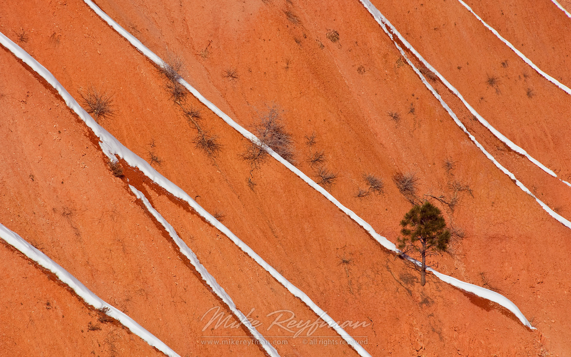 Bryce Graphics II. Bryce Canyon National Park, Utah, USA. - Bryce-Canyon-National-Park-Utah-USA - Mike Reyfman Photography
