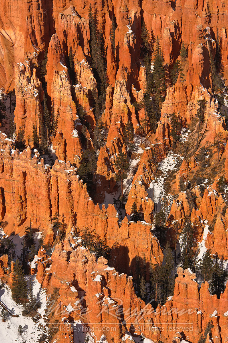 Pines and Spires II. Bryce Canyon National Park, Utah, USA. - Bryce-Canyon-National-Park-Utah-USA - Mike Reyfman Photography