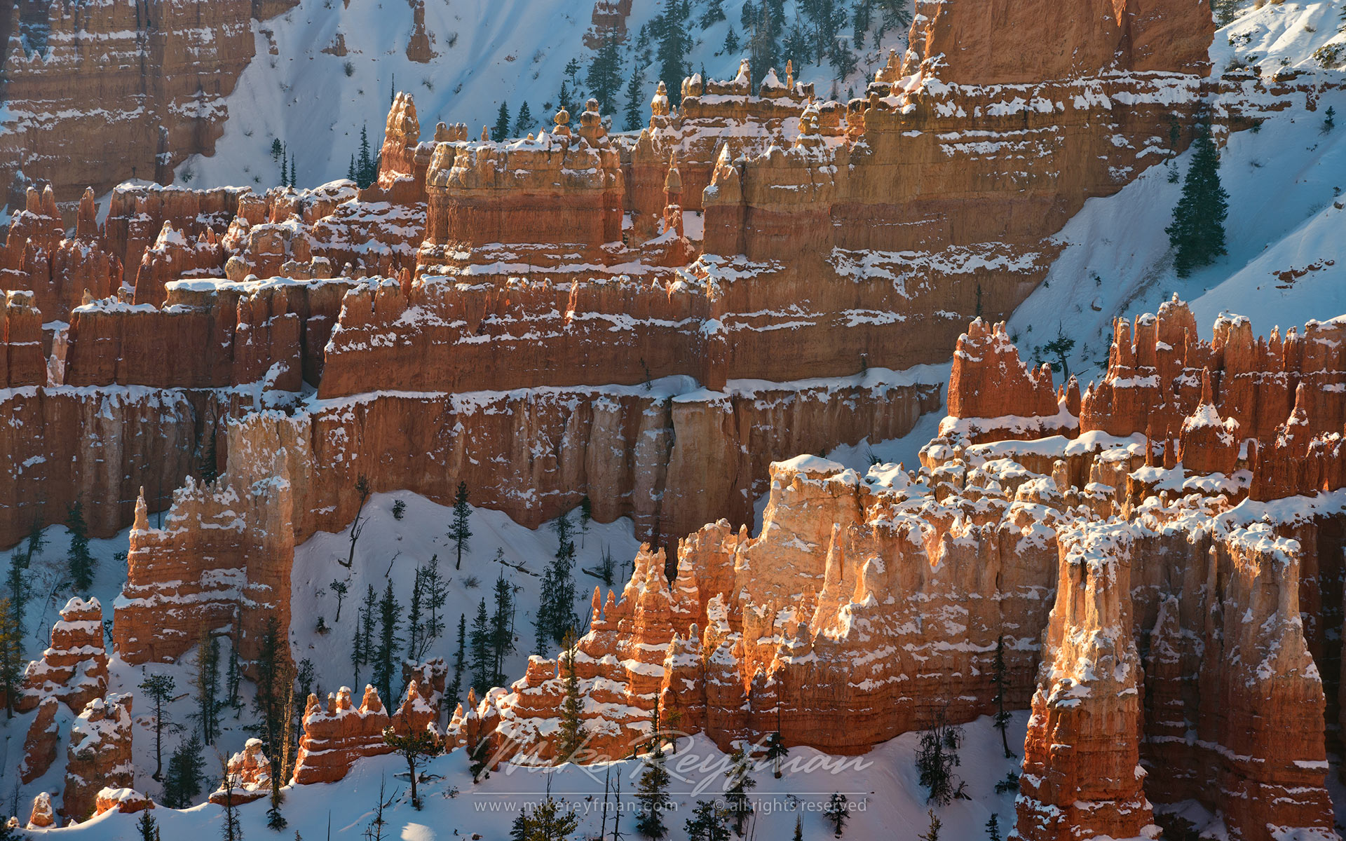 Walls and Spires. Bryce Canyon National Park, Utah, USA. - Bryce-Canyon-National-Park-Utah-USA - Mike Reyfman Photography