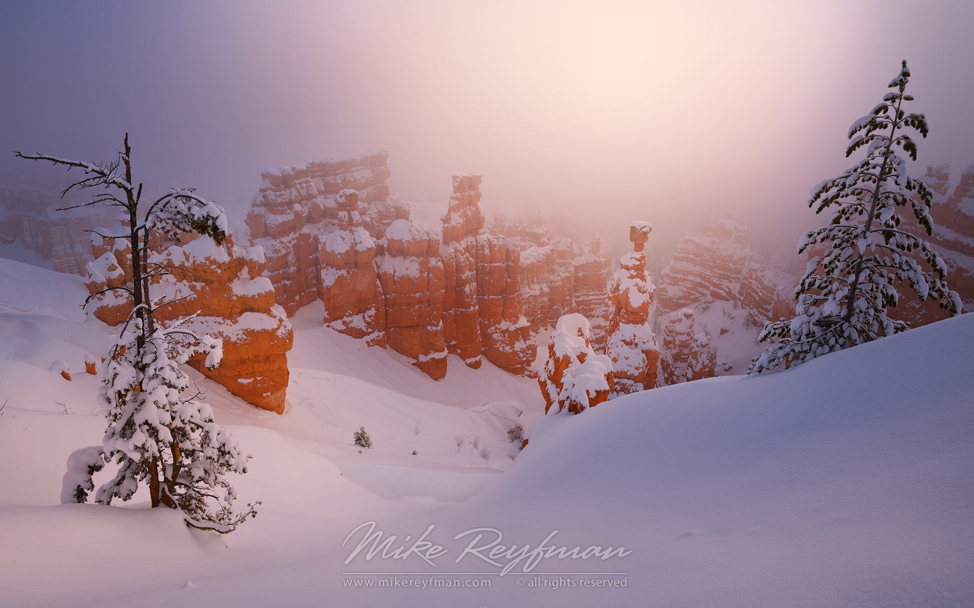 Thor's Hammer in Morning Fog. Bryce Canyon National Park, Utah, USA. - Bryce-Canyon-National-Park-Utah-USA - Mike Reyfman Photography