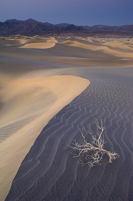 Dusk elegy. Mesquite Flats Sand Dunes and Amargosa Range at dusk. Stovepipe Wells, Death Valley, California.