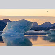 GR1-MR0136