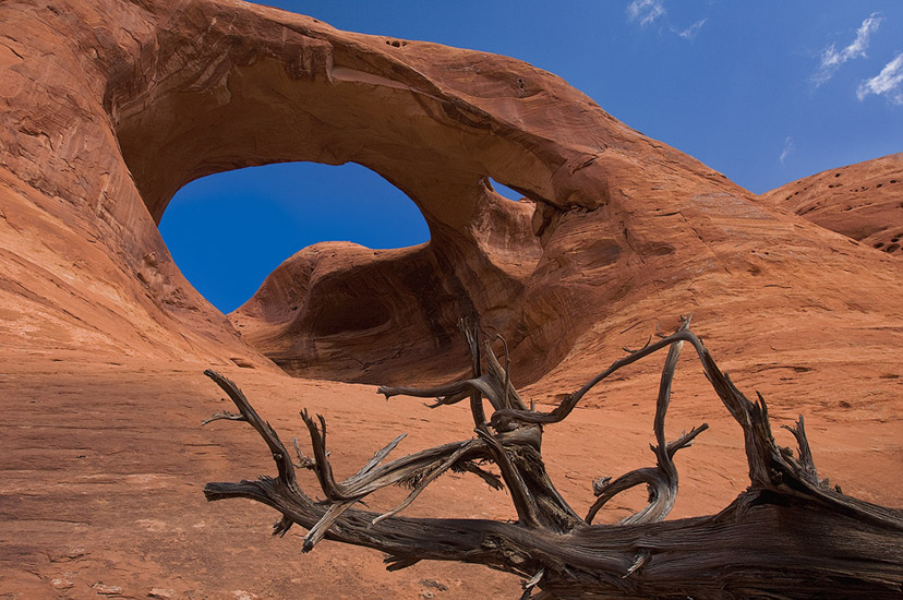 Arch and dead tree. Monument Valley, Arizona, USA. - Monument-Valley-Agathla-Peak-El-Capitan-Owl-Church-Rock - Mike Reyfman Photography