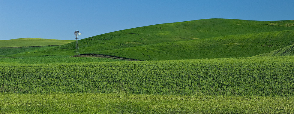Windmill pump and rolling green hills. Palouse, Washington, USA - Palouse-Eastern-Washington-American-Tuscany - Mike Reyfman Photography