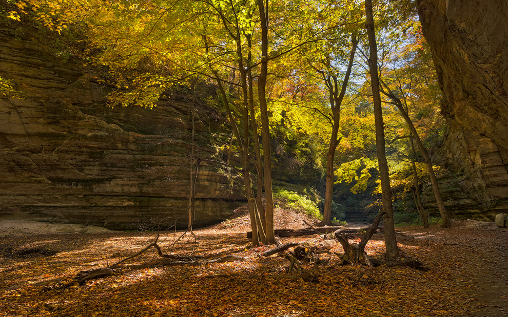 Fall Colors in Kaskaskia Canyon. Starved Rock State Park, Illinois - Starved-Rock-State-Park-Illinois-USA - Mike Reyfman Photography