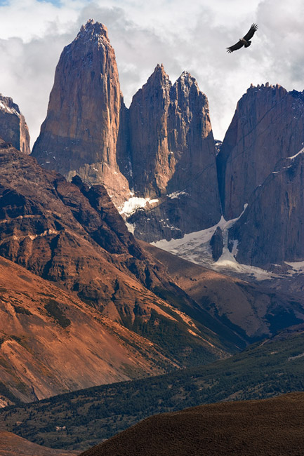 Condor grounds. Towers of Paine and condor. Torres del Paine National Park, Patagonia, Chile. - Gallery-1 - Mike Reyfman Photography