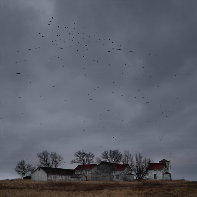 Homage to Alfred Hitchcock. Abandoned Farm. Racine, Wisconsin, USA.