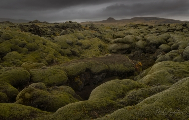 Eldhraun-Lava-Field,-Iceland