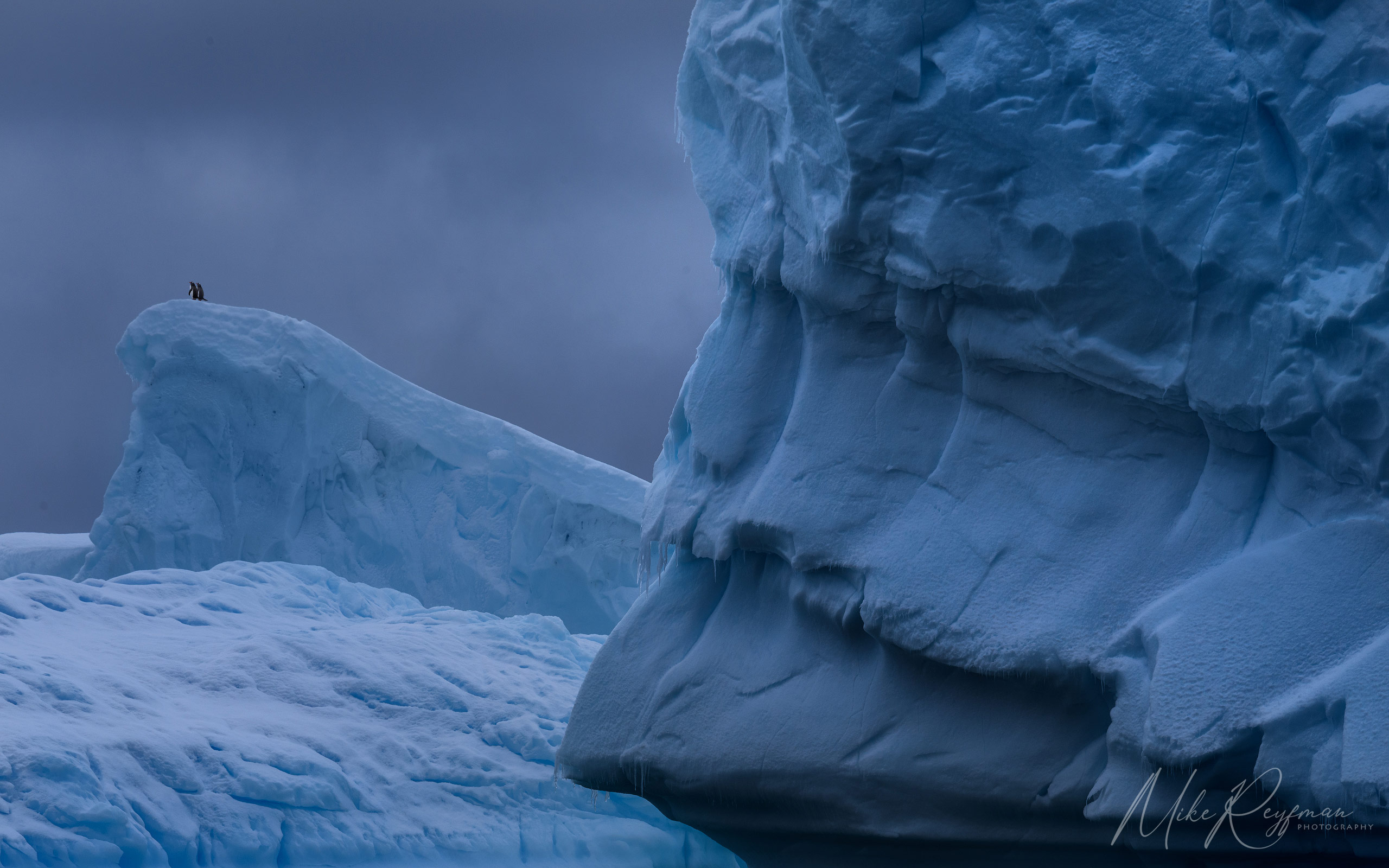  Antarctic_18 - Antarctica-Under-Sail-2024-phototour - Mike Reyfman Photography