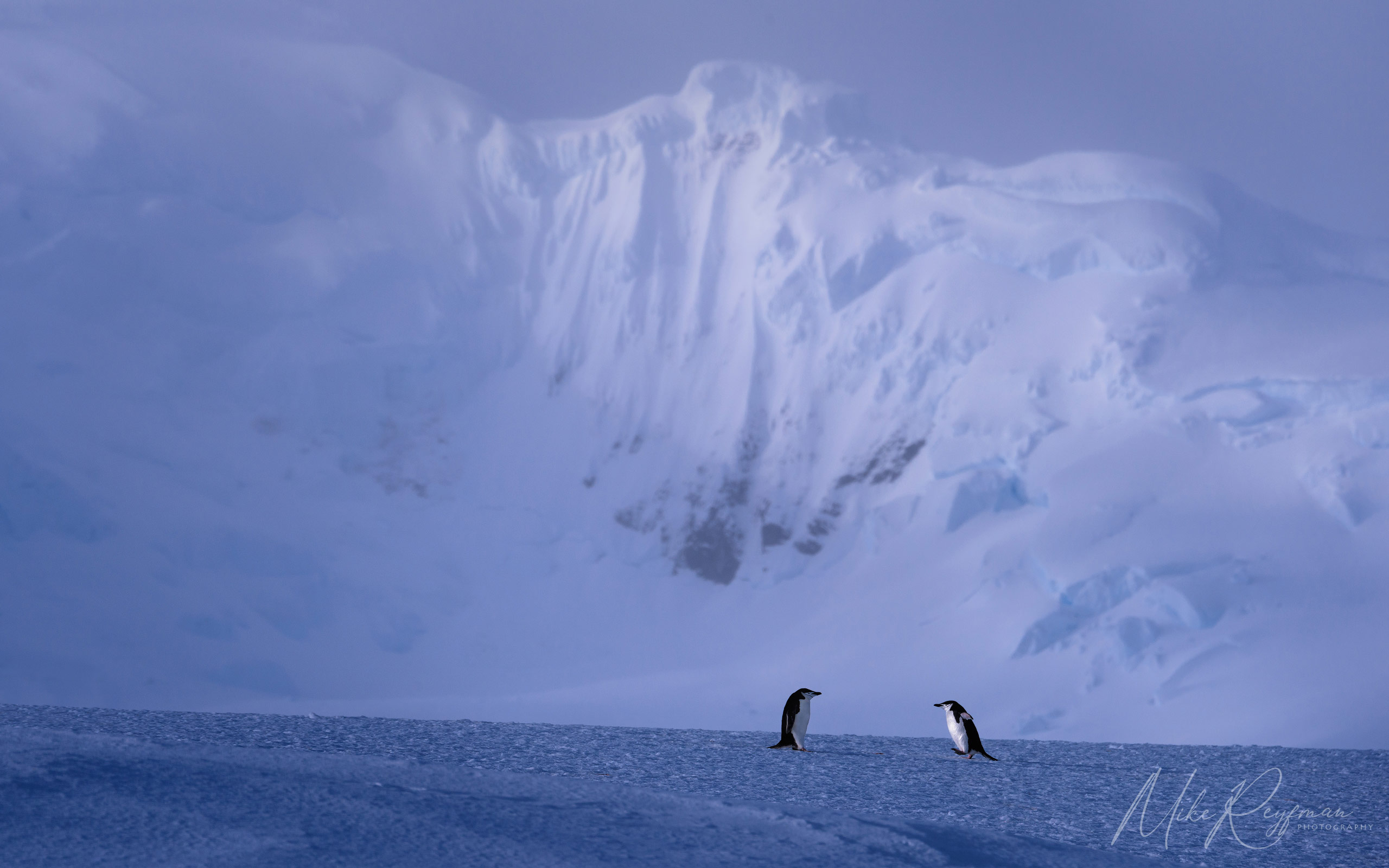  Antarctic_61 - Antarctica-Under-Sail-2024-phototour - Mike Reyfman Photography