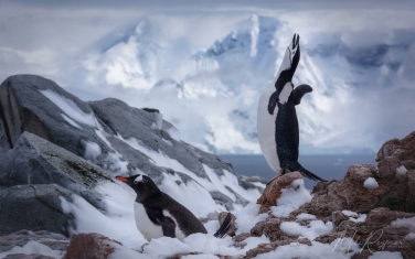 Antarctic_03   | Photo Tour with Mike Reyfman
