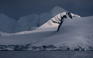 Antarctic_15   | Photo Tour with Mike Reyfman