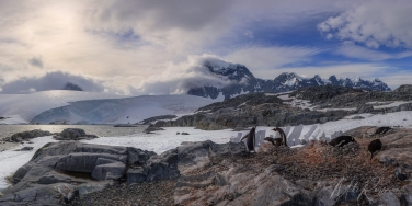 Antarctic_22   | Photo Tour with Mike Reyfman