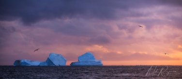 Antarctic_26   | Photo Tour with Mike Reyfman