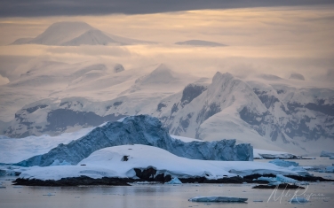 Antarctic_30   | Photo Tour with Mike Reyfman