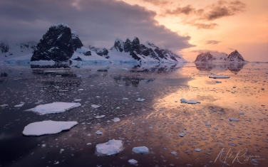 Antarctic_33   | Photo Tour with Mike Reyfman