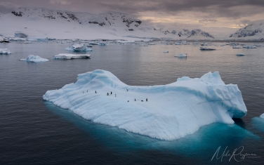 Antarctic_58   | Photo Tour with Mike Reyfman