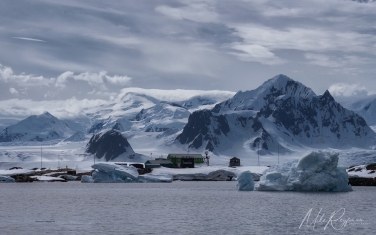 Antarctic_62   | Photo Tour with Mike Reyfman